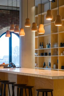 Suspension Design En Liège 1 Lumière -Magasin D'Éclairage Domestique suspension design 18090213 3R